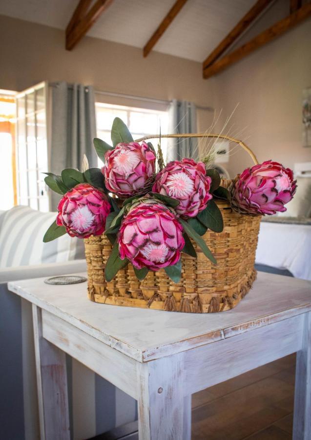 Modern Farm Apartment Lichtenburg ภายนอก รูปภาพ